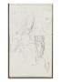 Carnet De Dessins : Jambe Gauche D'homme, Tãªte D'homme by Gustave Moreau Limited Edition Print