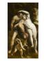 Venus Et Adonis by Luca Cambiaso Limited Edition Print