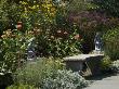 Garden Bench, Tower Hill Botanical Garden, Boylston, Massachusetts, Usa by Lisa S. Engelbrecht Limited Edition Print