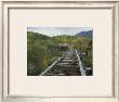 Ruins Of The Gilahina Trestle Bridge On The Copper River Railway by George Herben Limited Edition Print