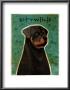 Rottweiler by John Golden Limited Edition Pricing Art Print