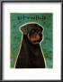 Rottweiler by John Golden Limited Edition Pricing Art Print