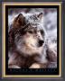 Timber Wolf by John Pezzenti Jr Limited Edition Print