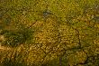 Aerial View Of Duba Plains Marshes by Beverly Joubert Limited Edition Pricing Art Print