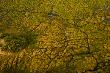 Aerial View Of Duba Plains Marshes by Beverly Joubert Limited Edition Print