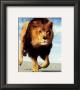 Lion Running by Ron Kimball Limited Edition Pricing Art Print