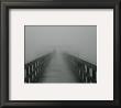 Into The Fog Ii by Gary Bydlo Limited Edition Pricing Art Print