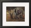 Gentle Touch by Ruane Manning Limited Edition Pricing Art Print