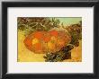 Still Life With Oranges by Vincent Van Gogh Limited Edition Print