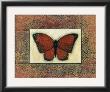 Butterfly Iii by Norman Wyatt Jr. Limited Edition Print