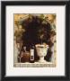 Olive Oil And Wine Arch I by Welby Limited Edition Print