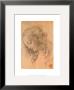 Testa Di Giovinetta by Leonardo Da Vinci Limited Edition Pricing Art Print