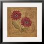 Day Dahlias by Jo Moulton Limited Edition Print