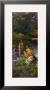Summer Garden by T. C. Chiu Limited Edition Print