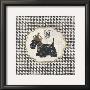 Hounds Tooth Scottie by Stefania Ferri Limited Edition Print