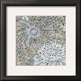 Silver Filigree Iii by Megan Meagher Limited Edition Print