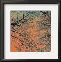 Sunset Forest Iii by M.J. Lew Limited Edition Pricing Art Print