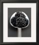 Blackberries And Spoon by Sara Deluca Limited Edition Print
