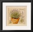 Herbes De Provence, Lavande by Pascal Cessou Limited Edition Print