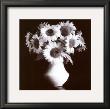 Sunflowers by Kristin Cooke Limited Edition Pricing Art Print