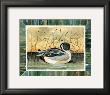 Green Duck I by Franz Heigl Limited Edition Print