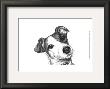 Robbie The Jack Russell by Beth Thomas Limited Edition Pricing Art Print