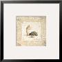 Pots Et Buis I by Veronique Didier-Laurent Limited Edition Pricing Art Print