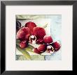 Orchid Duo Ii by Lisa Audit Limited Edition Pricing Art Print