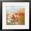 Poppies And Larkspur Ii by Carol Rowan Limited Edition Print
