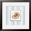 Sanibel Shell Iii by Avery Tillmon Limited Edition Print