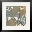 Ode To Spring I by Asia Jensen Limited Edition Print