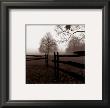 Fence In The Mist by Harold Silverman Limited Edition Print