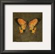 Mocha Butterfly by Katie Pertiet Limited Edition Pricing Art Print