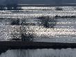 Sunlight On Flooded Wetlands In Spring, Biebrzanski National Park, Poland by Artur Tabor Limited Edition Print