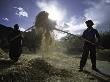 People Working, Tibet by Michael Brown Limited Edition Print