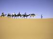 Camels In Caravan, Morocco by Michael Brown Limited Edition Print