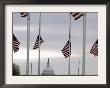 Flags At The Washington Monument Fly At Half Staff by Gerald Herbert Limited Edition Pricing Art Print