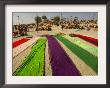 Clothes Of Hindu Devotee Are Laid Out To Dry After Being Drenched During Ritualistic Holy Dips by Aman Sharma Limited Edition Print