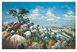 Palm Desert by Jules Scheffer Limited Edition Print