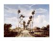 The Avenue At Middelharnis by Meindert Hobbema Limited Edition Print