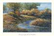 Laramie Creek by Gregory Wilhelmi Limited Edition Pricing Art Print