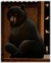 Black Bear by Kitty Farrington Limited Edition Pricing Art Print