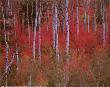 Fall Aspens by Leland Howard Limited Edition Pricing Art Print