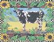 Checkerboard Cow by Jonnie Kostoff Limited Edition Print