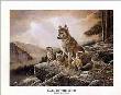 Call Of The Wild by Ruane Manning Limited Edition Print