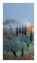 Primavera Ii by J. P. Pernath Limited Edition Pricing Art Print