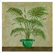 Tropical Fern by Xavier Limited Edition Print