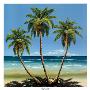 Three Palms by Ron Peters Limited Edition Print