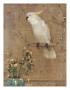 White Bird by William Hunter Limited Edition Print