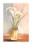 White Callas by Vitor Vivaldi Limited Edition Print